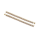 Saga  Anklet